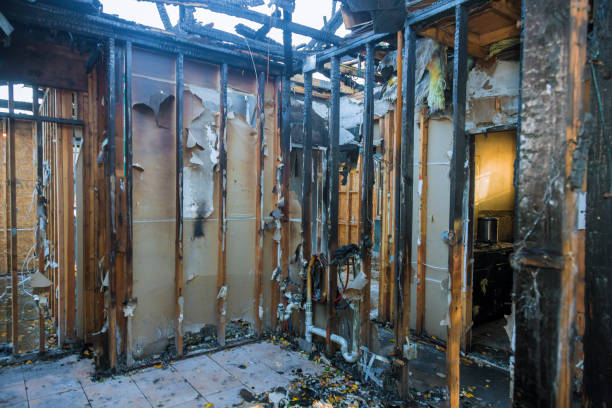 Professional Odor Removal technician working in Bacliff, TX